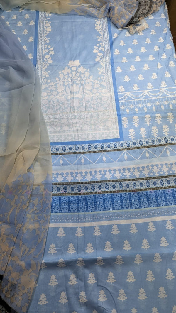 Printed Lawn  2 PIECE | MNM 04