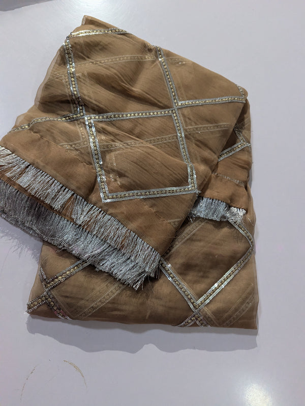 MnM Organza Dupatta 4477